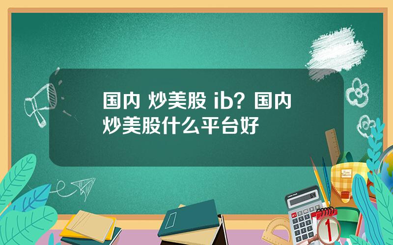 国内 炒美股 ib？国内炒美股什么平台好